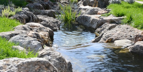 Stream 19 Stream 19