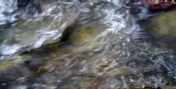 Slow Motion Stream Flow 3 Slow Motion Stream Flow 3