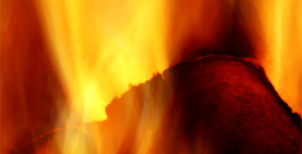 The Fire The Fire