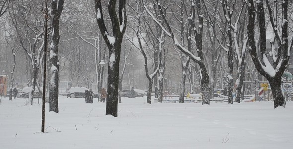Blizzard 26 Blizzard 26