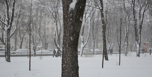 Blizzard 27 Blizzard 27