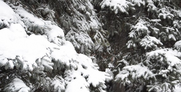 Blizzard 63 Blizzard 63