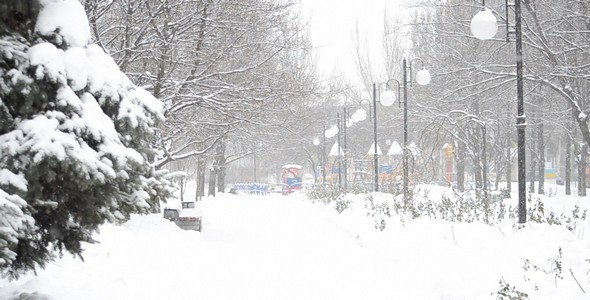 Blizzard 88 Blizzard 88