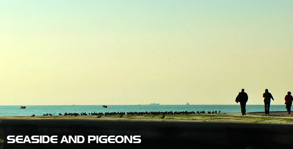Seaside and Pigeons Seaside and Pigeons