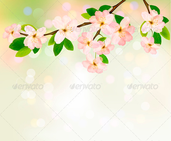 Spring background with blossoming tree brunch Spring background with blossoming tree brunch