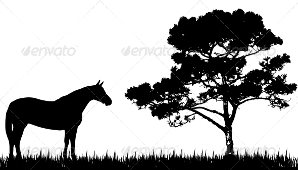 Silhouette of Horse and Tree Silhouette of Horse and Tree