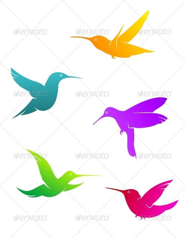 Colorful flying hummingbirds Colorful flying hummingbirds