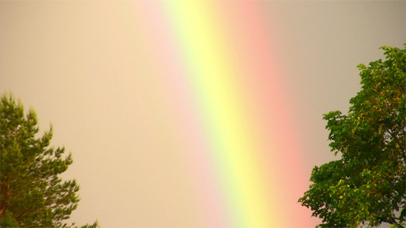 Rainbow Phenomenon Rainbow Phenomenon