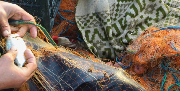 Fisherman And Fishnets 4 Fisherman And Fishnets 4