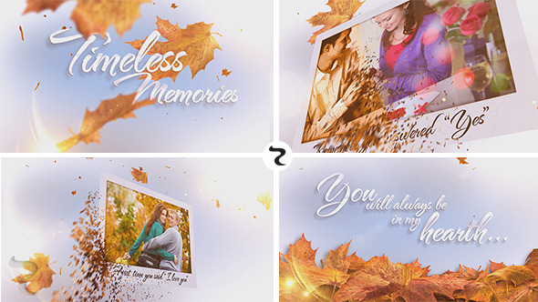 Timeless Memories Timeless Memories