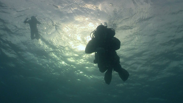 Diver Swims Over Camera Diver Swims Over Camera