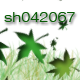 sh042067