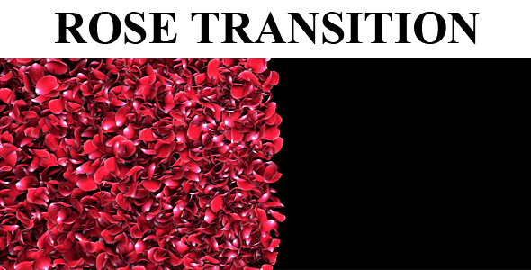 Rose Petal Transition Rose Petal Transition