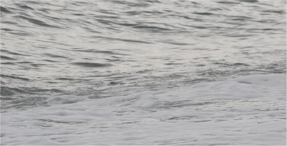 Sea 10 Sea 10