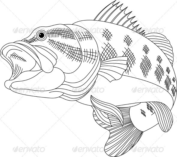 Leaping Bass Leaping Bass