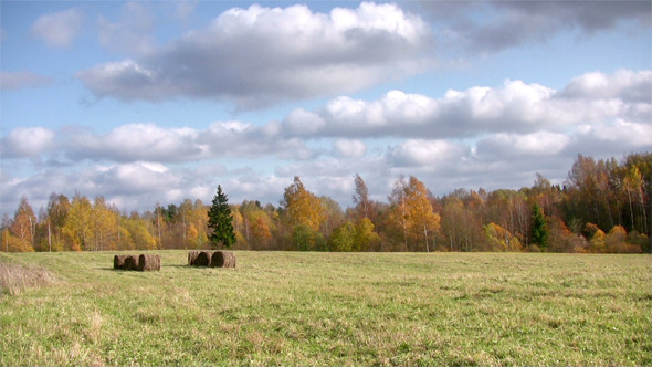 Autumn Landscape Autumn Landscape