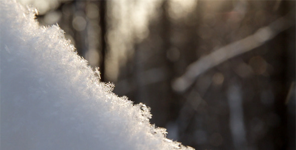 Fresh Snow Fresh Snow