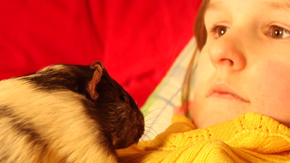 Guinea Pig 3 Guinea Pig 3