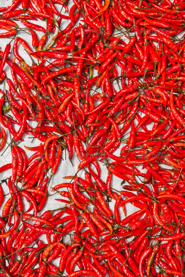Dried chili background texture