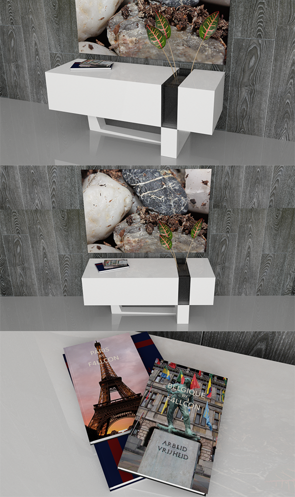 Modern Sideboard with Books, Vase, Plants & Frame - 3DOcean Item for Sale