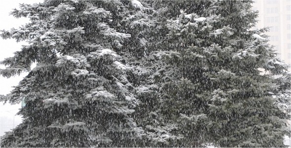 Blizzard 2 Blizzard 2