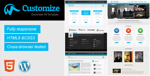 Customize Responsive WordPress Theme