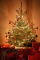 Photo of illuminated christmas trees | Free christmas images