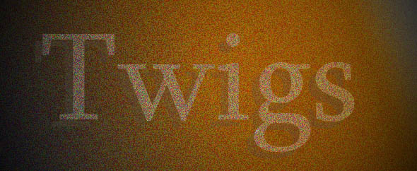 Twigs%20design%20banner%202