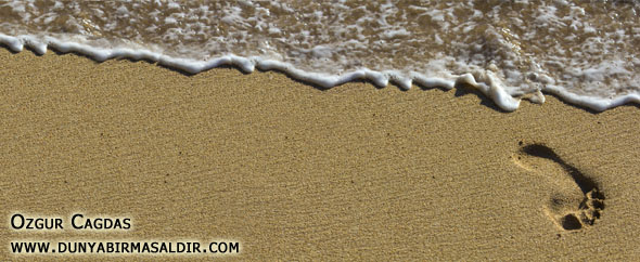 Videohive