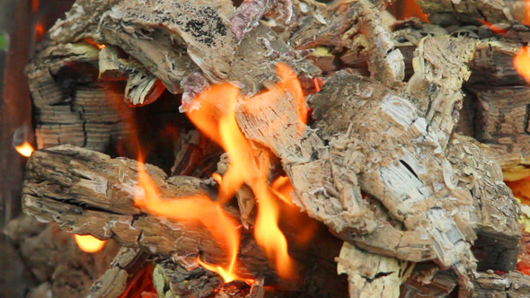 Bonfire 7 Bonfire 7