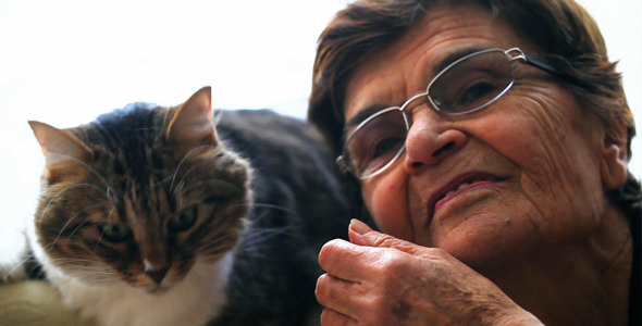 Old Woman And The Cat 2 Old Woman And The Cat 2