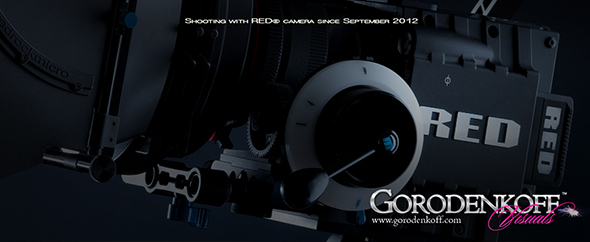 Gorodenkoffs