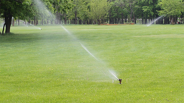 Grass Irrigation Grass Irrigation