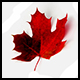 CanadaRocks