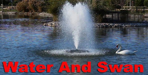 Water And Swan Water And Swan