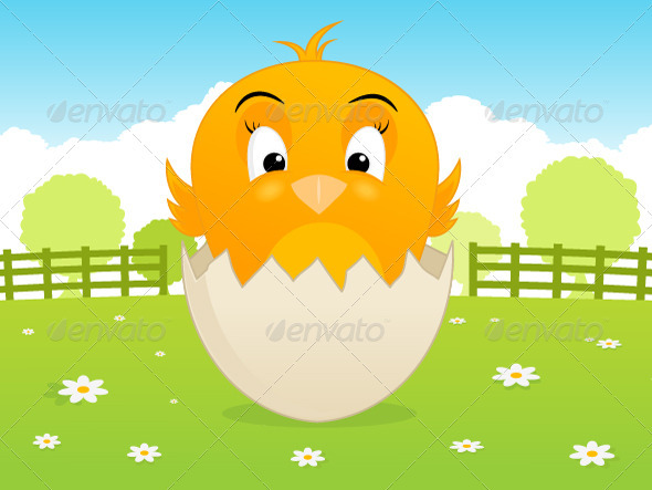 Baby Chicken Baby Chicken