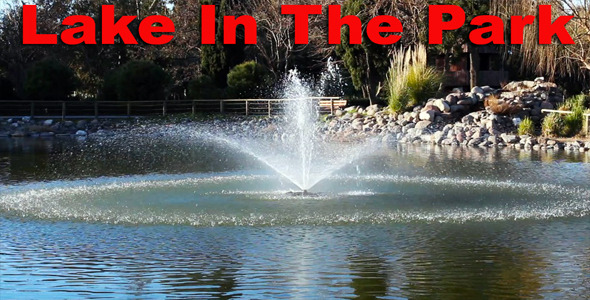 Lake In The Park Lake In The Park