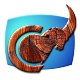 Capricorn_Music