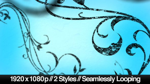 Growing Flourish Of Vines Backdrop 2 Styles Loop By Butlerm Videohive Growing Vines After Effects Template