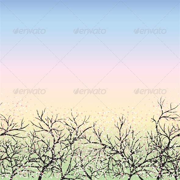 Blooming trees and blue sky dawn Blooming trees and blue sky dawn