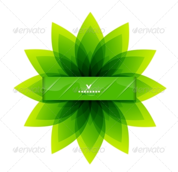 Green Leaves Nature Design Green Leaves Nature Design