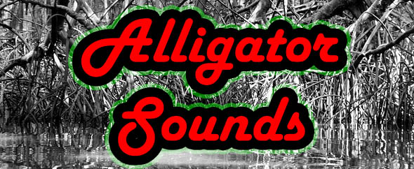 AlligatorSounds