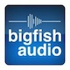 big-fish-audio