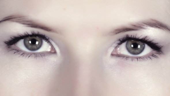 Eyes Eyes