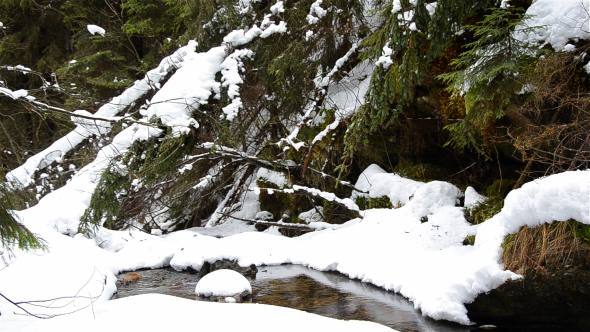 Snowy River In Forest 2 Snowy River In Forest 2