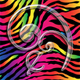 EnlivenDesigns