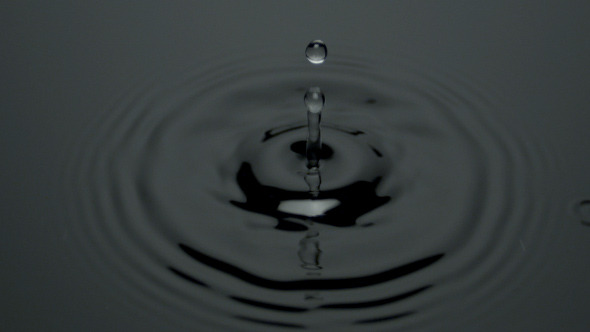 Water Drop Black Water Drop Black