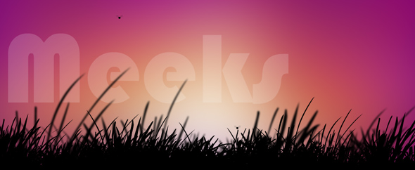Meeks
