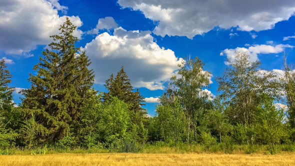 Natural Landscape Natural Landscape