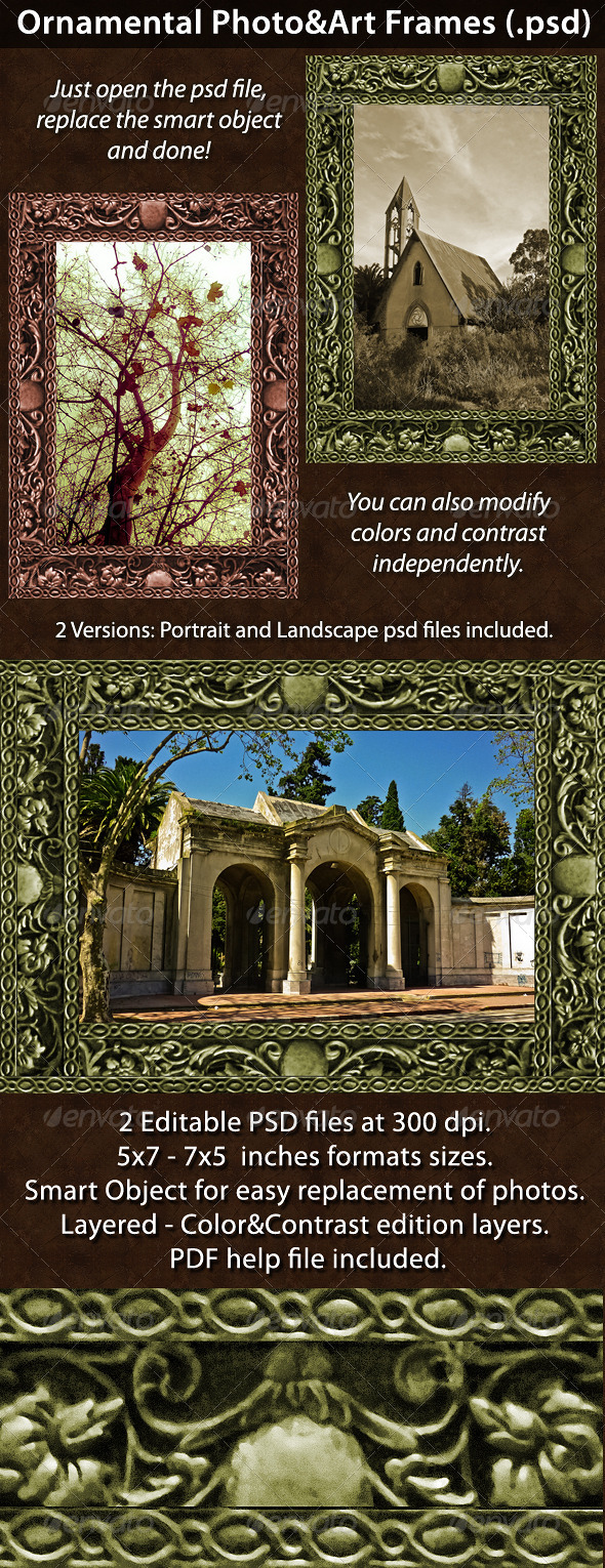 Ornamental Photo&Art Frames Template - Artistic Photo Templates